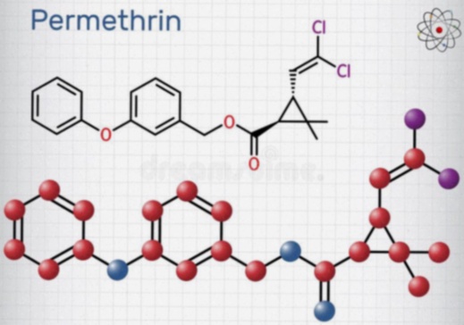 Permetrina